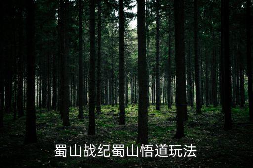 蜀山战纪蜀山悟道玩法