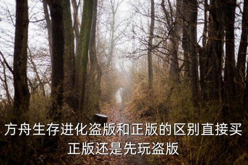 方舟生存进化盗版和正版的区别直接买正版还是先玩盗版