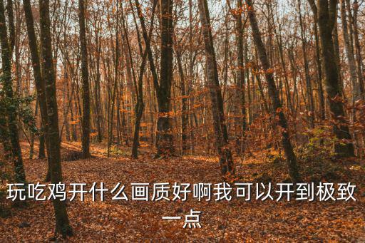 玩吃鸡开什么画质好啊我可以开到极致一点