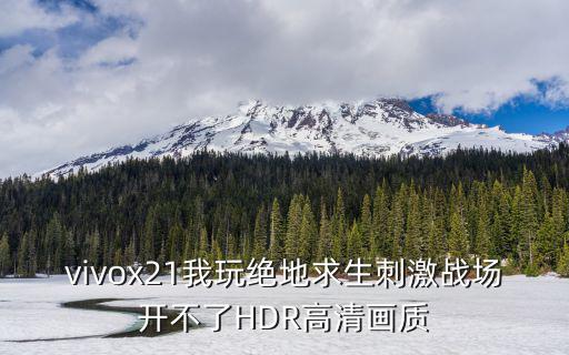 vivox21我玩绝地求生刺激战场开不了HDR高清画质