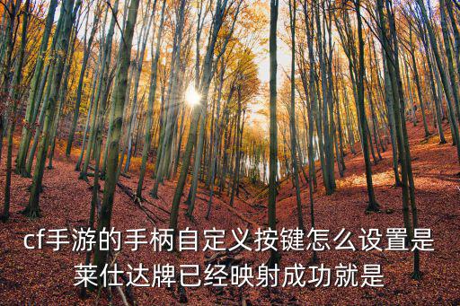 cf手游的手柄自定义按键怎么设置是莱仕达牌已经映射成功就是