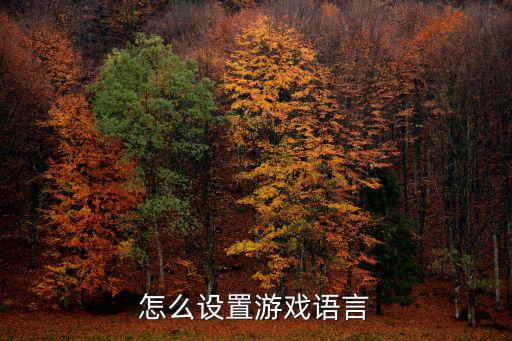 怎么设置游戏语言