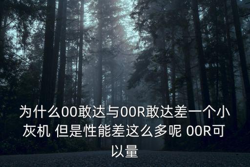 为什么00敢达与00R敢达差一个小灰机 但是性能差这么多呢 00R可以量