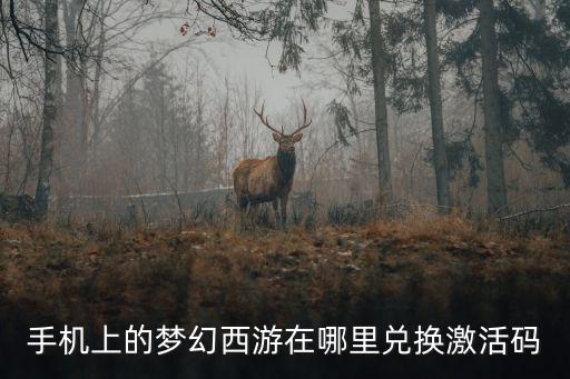手机上的梦幻西游在哪里兑换激活码