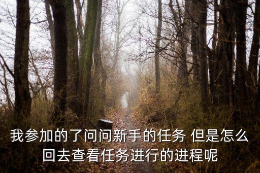 我参加的了问问新手的任务 但是怎么回去查看任务进行的进程呢