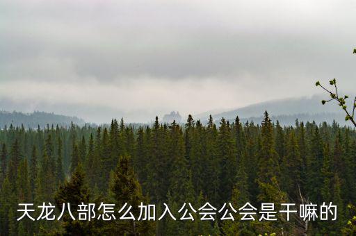 天龙八部怎么加入公会公会是干嘛的