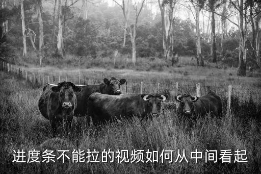 进度条不能拉的视频如何从中间看起