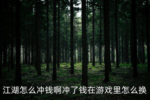 江湖怎么冲钱啊冲了钱在游戏里怎么换