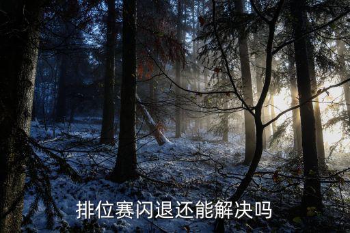 排位赛闪退还能解决吗