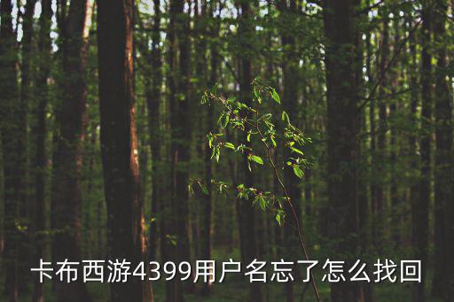 手游木筏求生淡水收集器怎么使用，大家手机用的是那种贴膜