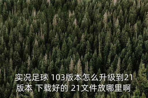 实况足球2021手游怎么升级，实况怎样更新