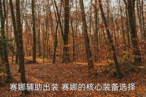 赛娜辅助出装 赛娜的核心装备选择