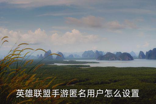 英雄联盟手游匿名用户怎么设置
