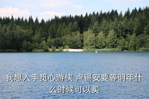手游觅心游侠卢锡安头像怎么获得，S2头像领取 已经在游戏界面输入验证码 但不知道还要那些步骤