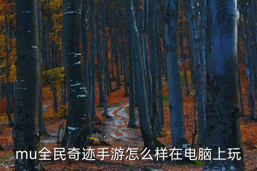 mu全民奇迹手游怎么样在电脑上玩