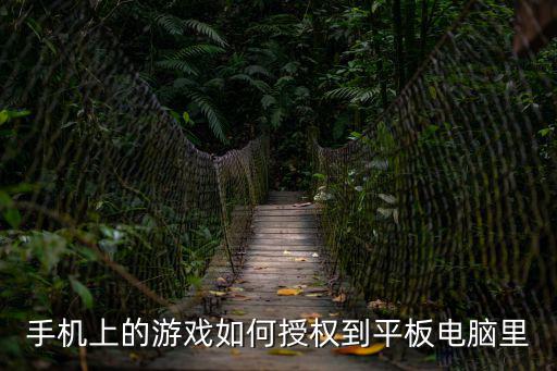 手机上的游戏如何授权到平板电脑里