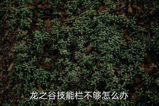 龙之谷手游2技能栏怎么增加，龙之谷技能栏不够怎么办