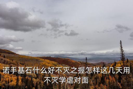 诺手基石什么好不灭之握怎样这几天用不灭学虐对面