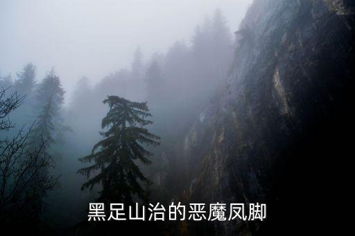 航海王手游黑足山治怎么快，海贼王山治必须活黑足必须活捉的秘密为什么悬赏要活捉山治 搜