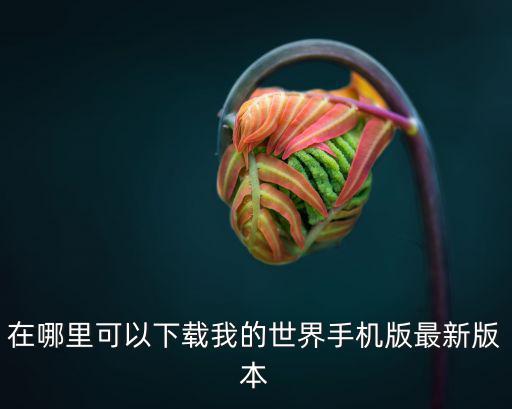在哪里可以下载我的世界手机版最新版本