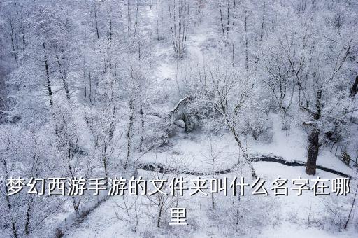 梦幻西游手游的文件夹叫什么名字在哪里