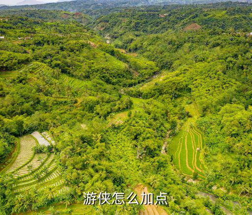 游侠怎么加点