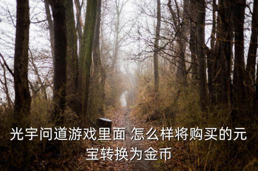 问道手游元宝怎么转账，游戏问道怎么用元宝换钱