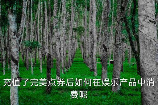 充值了完美点券后如何在娱乐产品中消费呢
