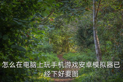 怎么在电脑上玩手机游戏安卓模拟器已经下好要图