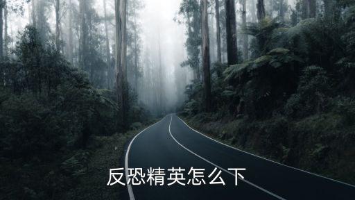 反恐精英怎么下