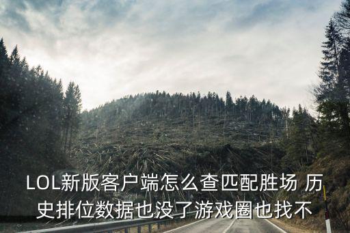 LOL新版客户端怎么查匹配胜场 历史排位数据也没了游戏圈也找不