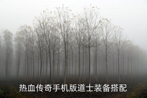 热血传奇手机版道士装备搭配