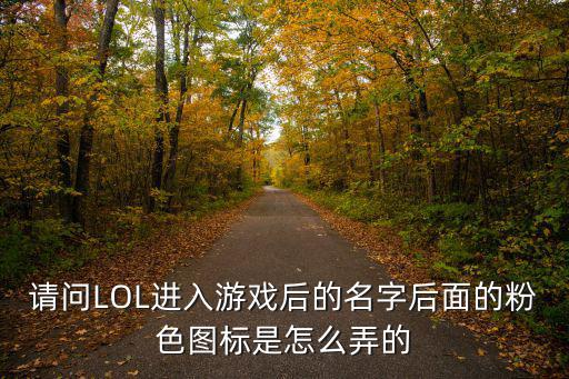 请问LOL进入游戏后的名字后面的粉色图标是怎么弄的