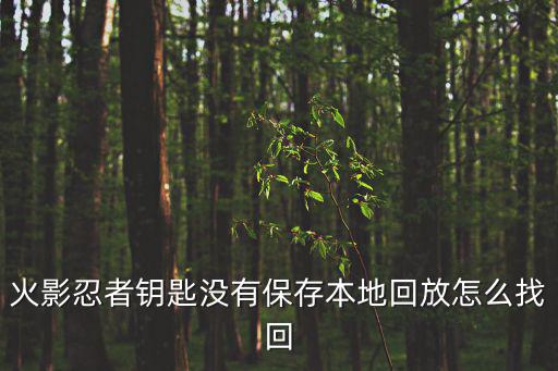 火影忍者钥匙没有保存本地回放怎么找回