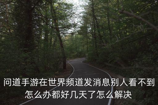 问道手游在世界频道发消息别人看不到怎么办都好几天了怎么解决