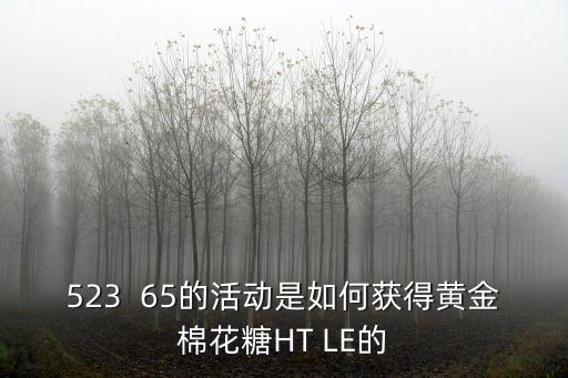 523  65的活动是如何获得黄金棉花糖HT LE的