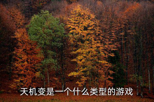 天机变是一个什么类型的游戏