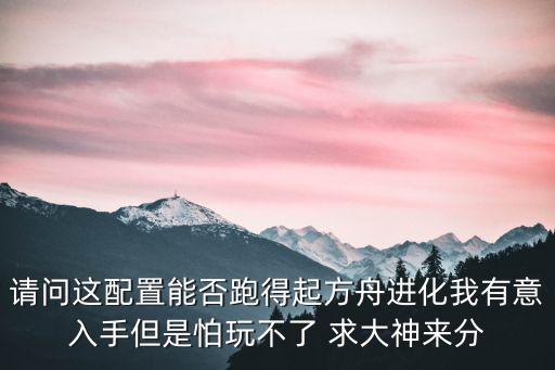 请问这配置能否跑得起方舟进化我有意入手但是怕玩不了 求大神来分