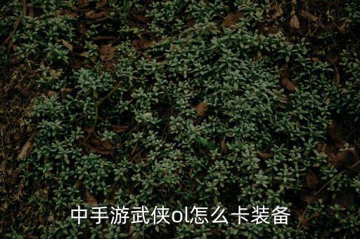 中手游武侠ol怎么卡装备
