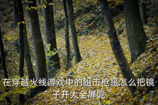 在穿越火线游戏中的狙击枪是怎么把镜子开大全屏呢