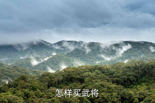 怎样买武将