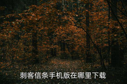 刺客信条手游安卓怎么下，刺客信条本色安卓版哪里可以下