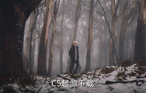 CS起源下载
