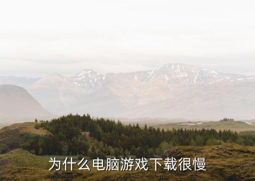 手游电脑版下载慢怎么回事，电脑下载游戏很慢是什么原因