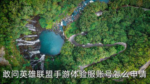 敢问英雄联盟手游体验服账号怎么申请