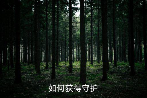如何获得守护