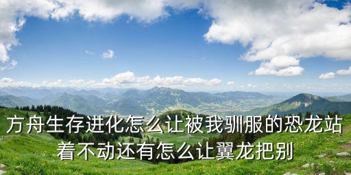 方舟生存进化怎么让被我驯服的恐龙站着不动还有怎么让翼龙把别