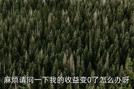 麻烦请问一下我的收益变0了怎么办呀