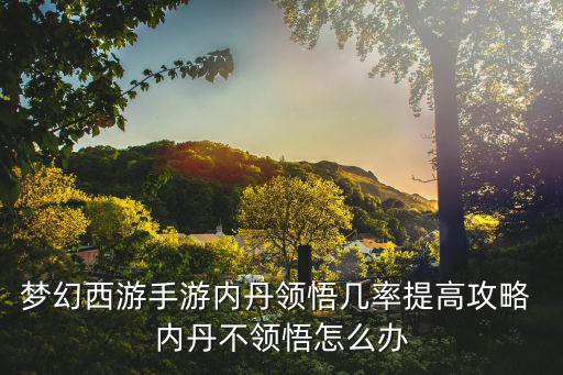梦幻西游手游内丹领悟几率提高攻略 内丹不领悟怎么办
