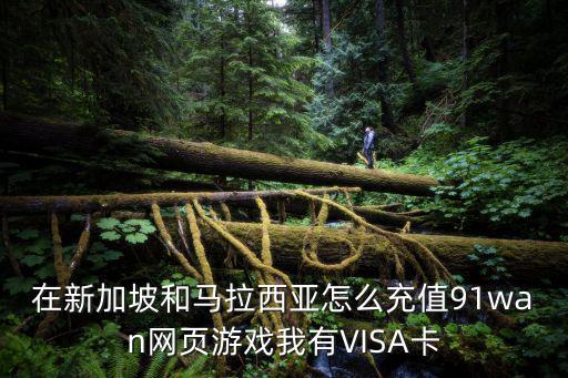 在新加坡和马拉西亚怎么充值91wan网页游戏我有VISA卡